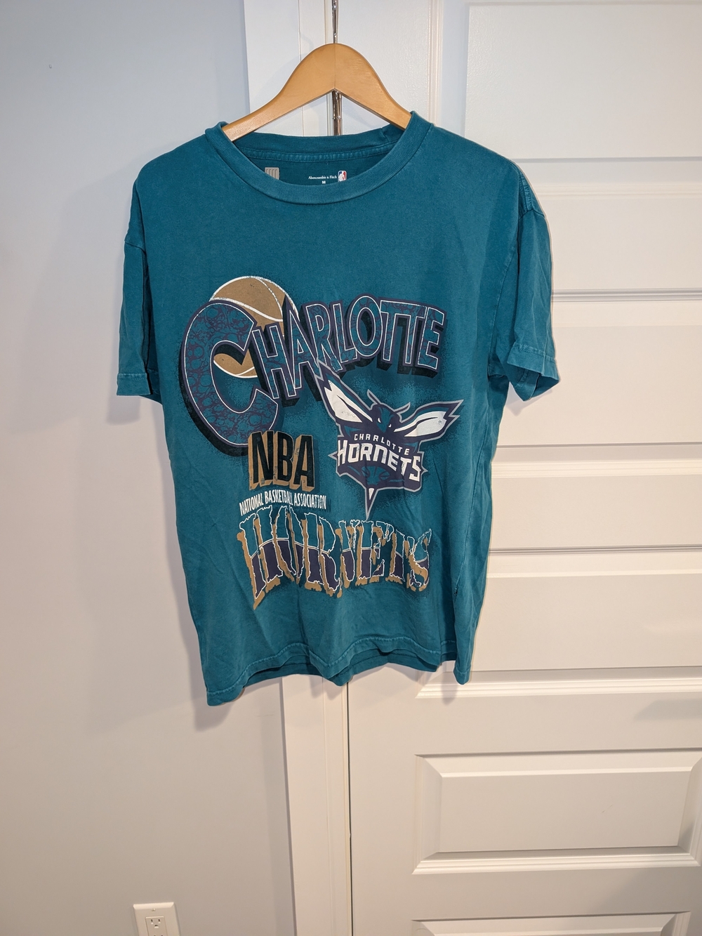 Abercrombie & Fitch Teal Charlotte Hornets NBA Basketball Retro Graphic Tee